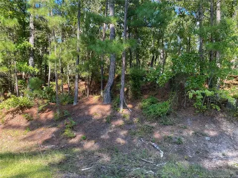 Mcgill Road, Vass, NC 28394 photo 25