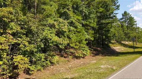 Mcgill Road, Vass, NC 28394 photo 27