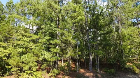 Mcgill Road, Vass, NC 28394 photo 28