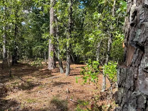 Mcgill Road, Vass, NC 28394 photo 21