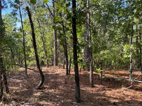 Mcgill Road, Vass, NC 28394 photo 19