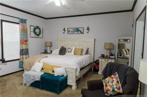 668 Nutgrass Rd, Bunnlevel, NC 28323 photo 15