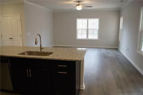 77 Nectar Ln, Bunnlevel, NC 28323 photo 13