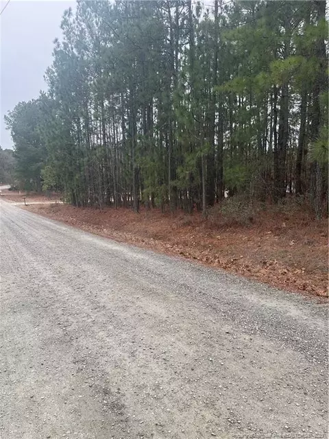 236 Lakeview Ln, Cameron, NC 28326 photo 3