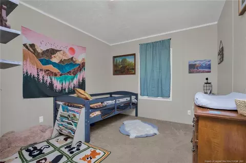 277 Black Rd, Cameron, NC 28326 photo 19