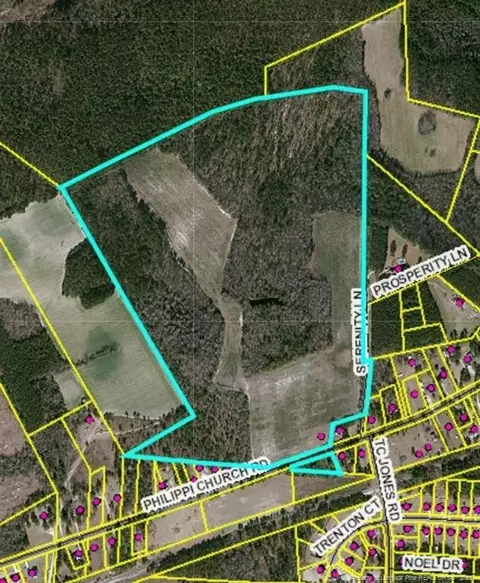 Phillippi Ch Road, Raeford, NC 28376