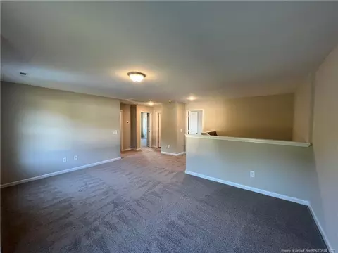 45 Killdeer Ct, Godwin, NC 28344 photo 12