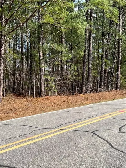 3817 Old Stage Rd S, Erwin, NC 28339 photo 6