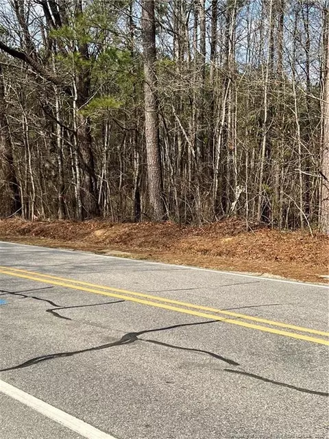 3817 Old Stage Rd S, Erwin, NC 28339 photo 2