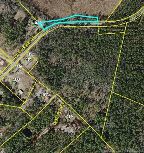Gum Spring Road, White Oak, NC 28399 photo 8