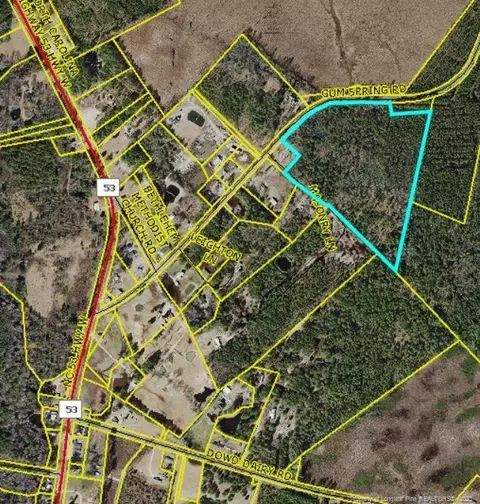 Gum Spring Road, White Oak, NC 28399 photo 9