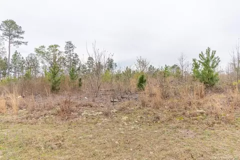 Scull Road, Raeford, NC 28376 photo 7