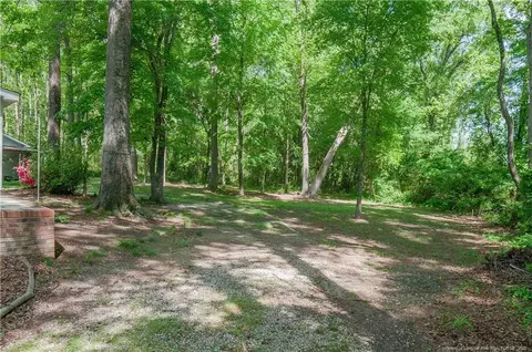 319 Don Ron Rd, Erwin, NC 28339 photo 11
