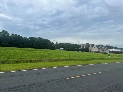 Fire Tower Rd Road, Orrum, NC 28369 photo 3