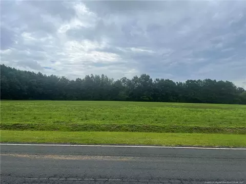 Fire Tower Rd Road, Orrum, NC 28369 photo 2
