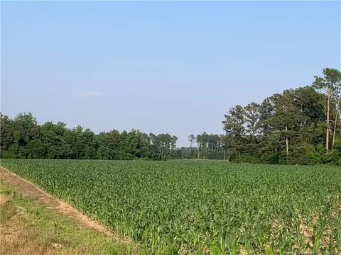 N Shannon Road, Shannon, NC 28386