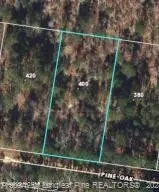 400 Pine Oak, Cameron, NC 28326