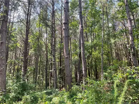 7106 Wire Grass Rd, Orrum, NC 28369