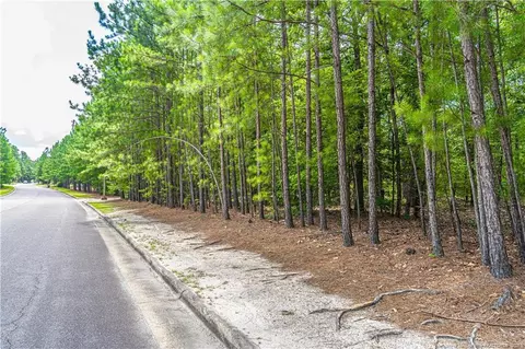 227 Meyer Farm Dr, Pinehurst, NC 28374 photo 5