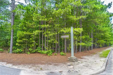 227 Meyer Farm Dr, Pinehurst, NC 28374 photo 3