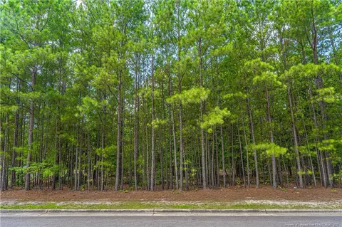 227 Meyer Farm Dr, Pinehurst, NC 28374 photo 4