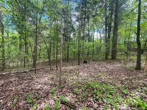 Santek Road, Staley, NC 27355 photo 45