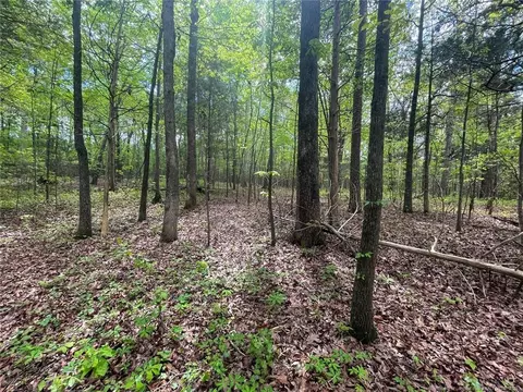 Santek Road, Staley, NC 27355 photo 48