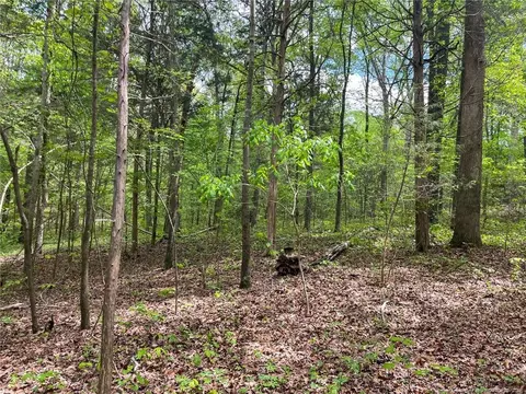 Santek Road, Staley, NC 27355 photo 46