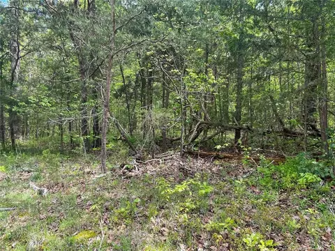 Santek Road, Staley, NC 27355 photo 37