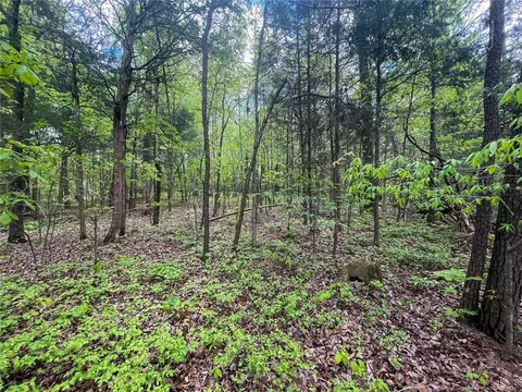 Santek Road, Staley, NC 27355 photo 42
