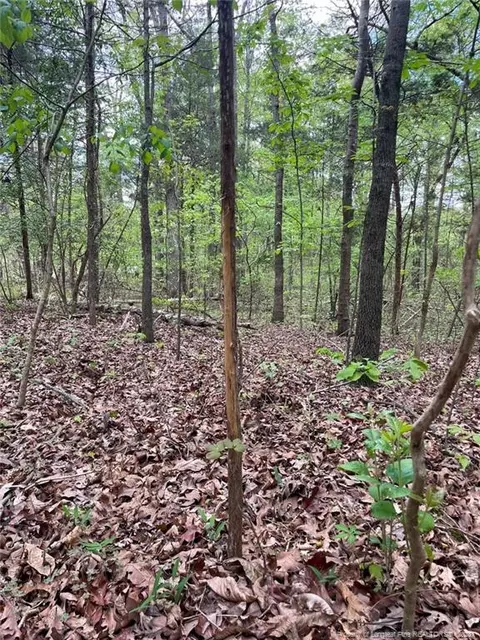 Santek Road, Staley, NC 27355 photo 50