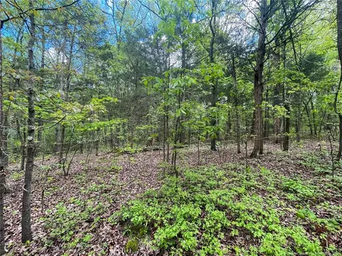 Santek Road, Staley, NC 27355 photo 41