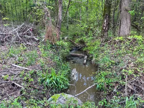 Santek Road, Staley, NC 27355 photo 6