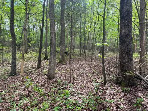 Santek Road, Staley, NC 27355 photo 47