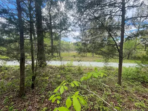Santek Road, Staley, NC 27355 photo 44