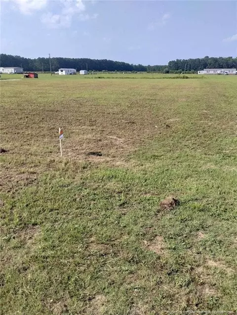 Raynham Road, Fairmont, NC 28340