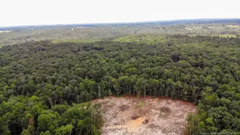 tbd Hicks Rd, Broadway, NC 27505 photo 2