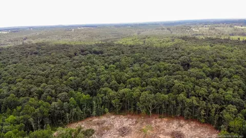 tbd Hicks Rd, Broadway, NC 27505 photo 28