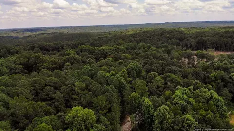 tbd Hicks Rd, Broadway, NC 27505 photo 10