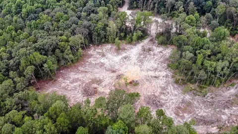 tbd Hicks Rd, Broadway, NC 27505 photo 32