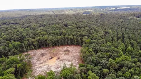 tbd Hicks Rd, Broadway, NC 27505 photo 5