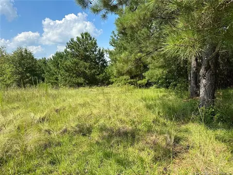 W H Mclean, Bunnlevel, NC 28323 photo 6
