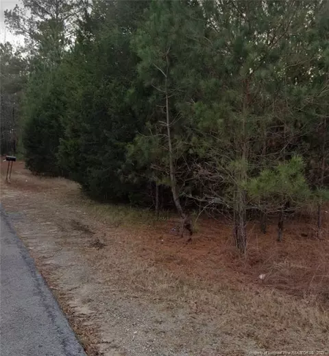 327 Brookside Rd, West End, NC 27376 photo 4