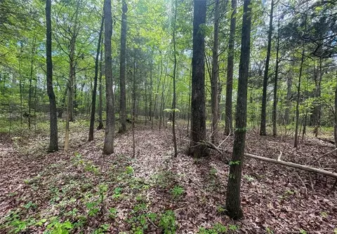 tbd Santek Rd, Staley, NC 27355 photo 2