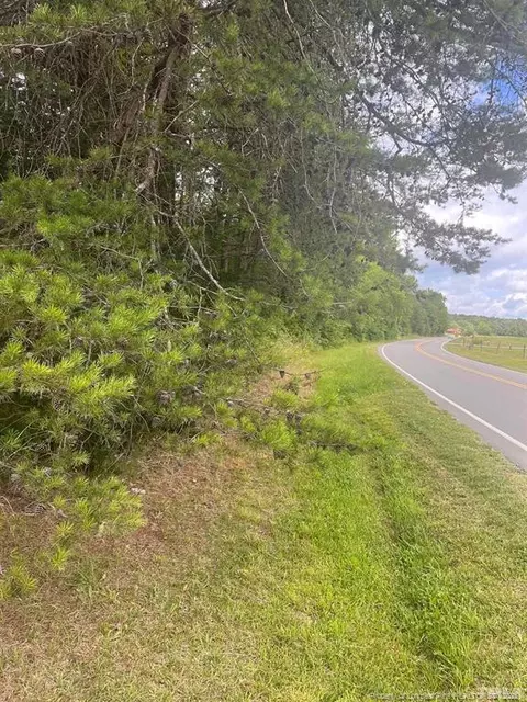 Mcghees Mill Road, Semora, NC 27343 photo 4