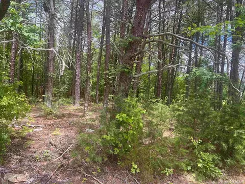 Mcghees Mill Road, Semora, NC 27343 photo 3