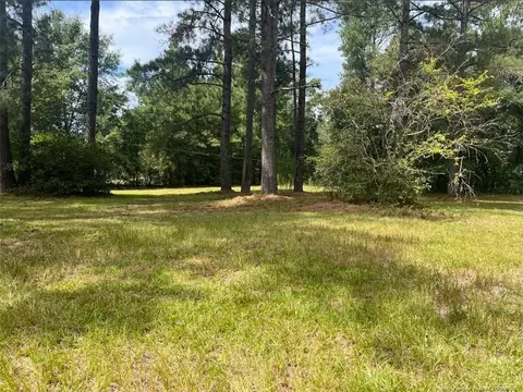 844 Boyd Lake Rd, Hamlet, NC 28345 photo 20