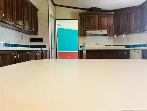 844 Boyd Lake Rd, Hamlet, NC 28345 photo 6