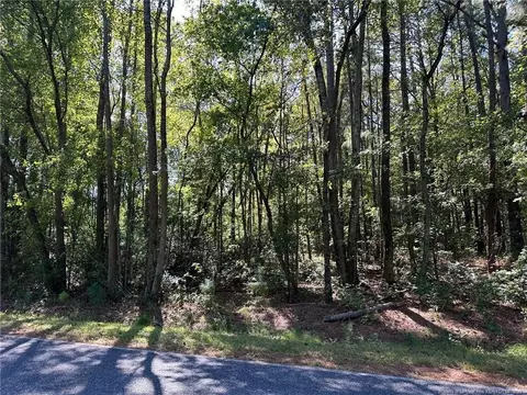 2 Eason Rd, Wade, NC 28395 photo 4