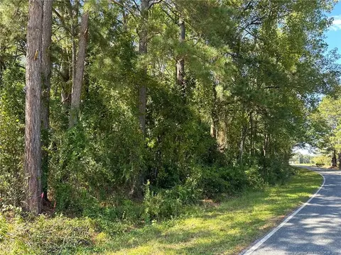 2 Eason Rd, Wade, NC 28395 photo 3